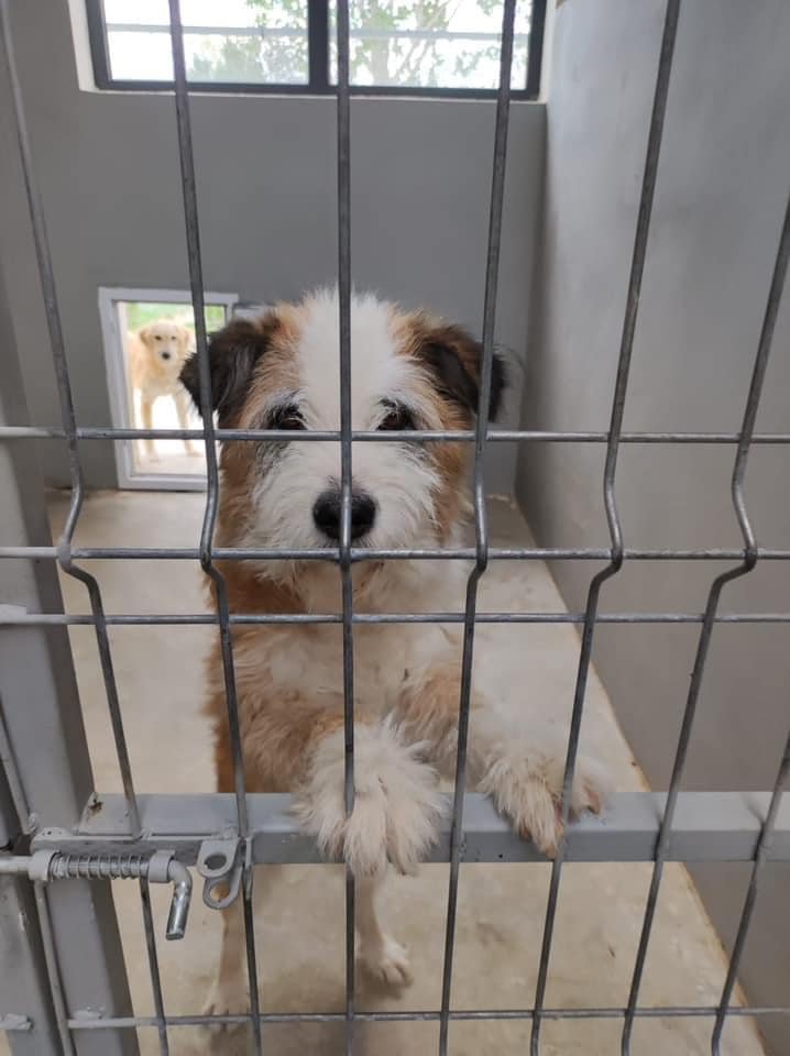 481195260 939976981649325 477020386537532516 n